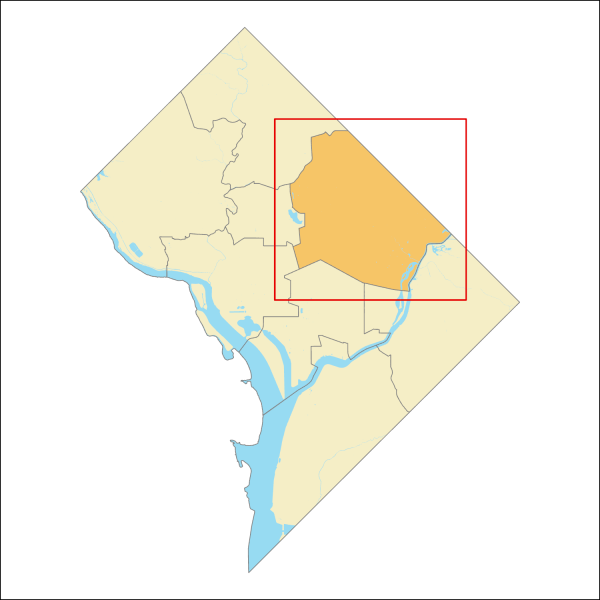 Ward 5