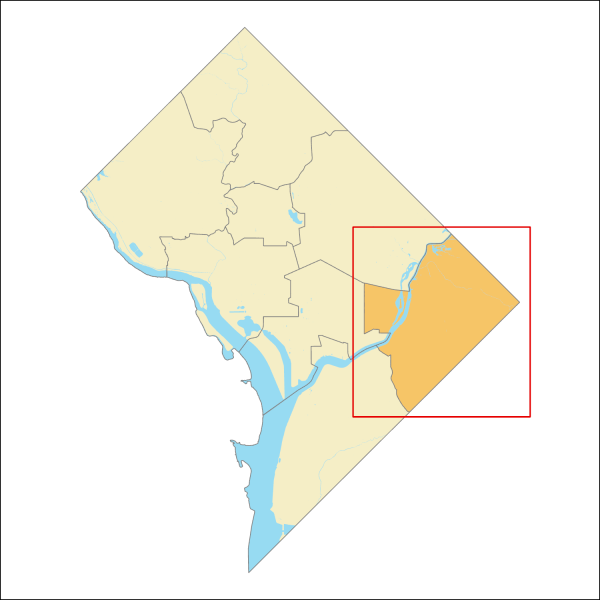 Ward 7