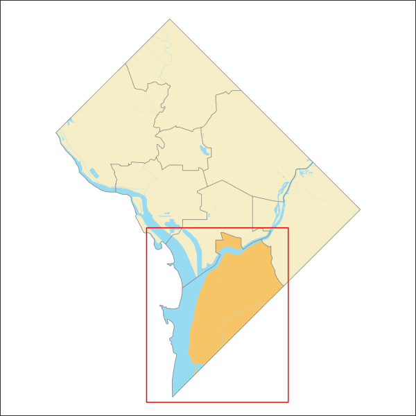Ward 8